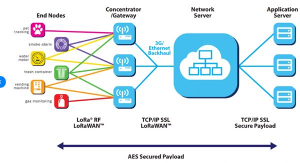 מקור התמונה: Lora Alliance